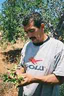 Norberto Santos Coelho (Click: zoom in 187 kb) Bild: Norberto Santos Coelho