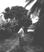 Christoph Meyer unter einem Mango-Baum Bild: Christoph Meier