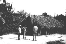 Bisher wird unter Palmwedeln unterrichtet Bild: Freiluftschule